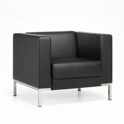 Fauteuil Cuir